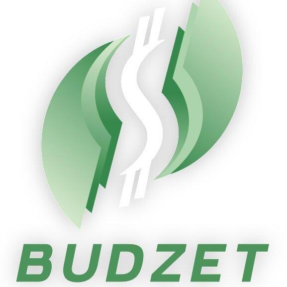 Budzet Com