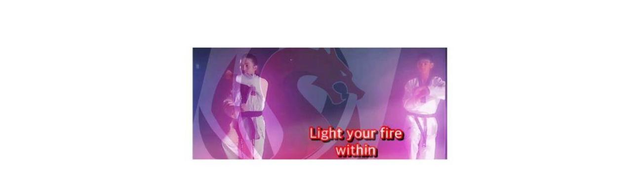 Dragon Taekwondo  Academy