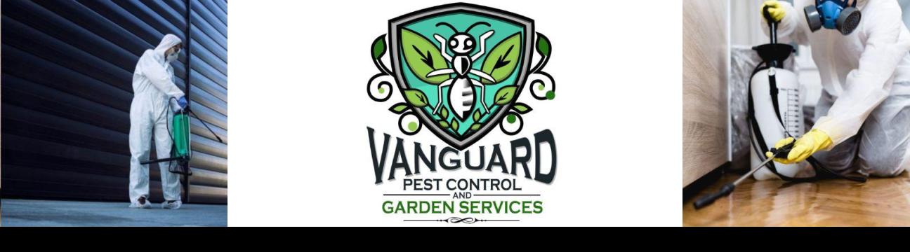Vanguard  Eco Solutions