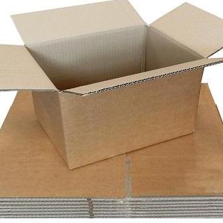 Globe Packaging London